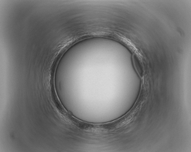 X0000116640201200912140952