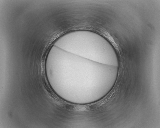 X0000116640202200912140952