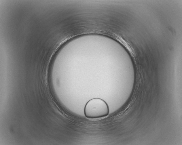 X0000116640203200912140952