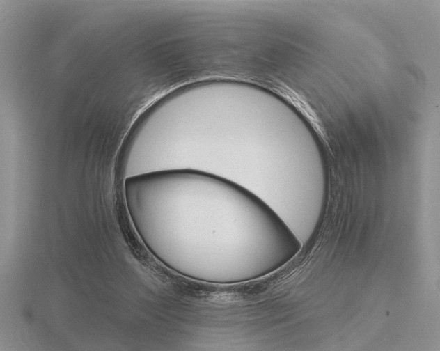 X0000116640204200912140952