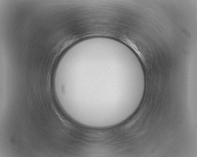 X0000116640205200912140952