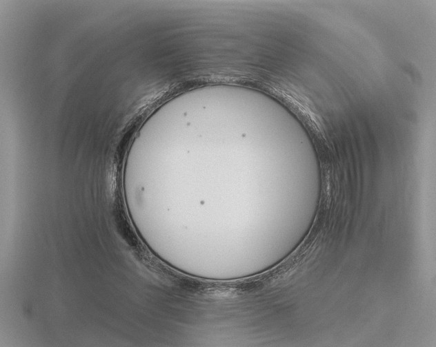 X0000116640206200912140952