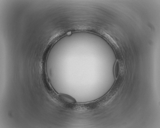 X0000116640207200912140952