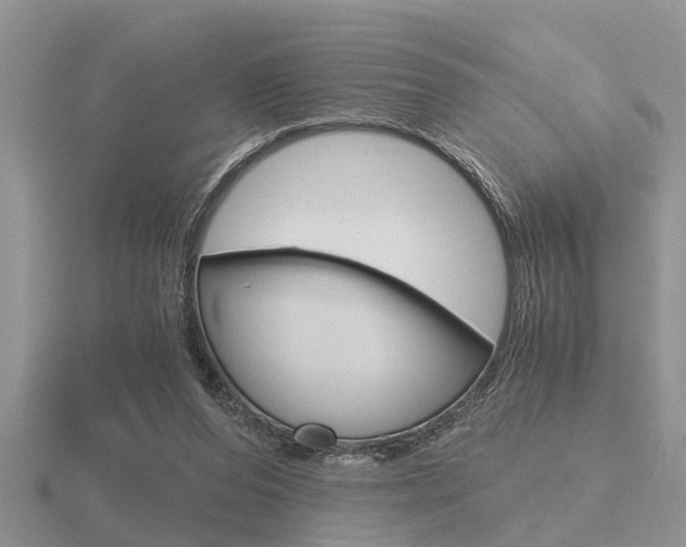 X0000116640208200912140952