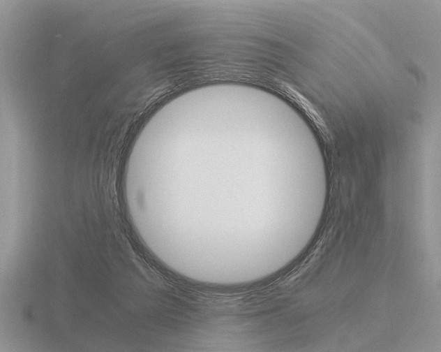 X0000116640209200912140952