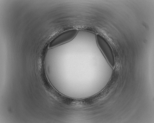 X0000116640211200912140952