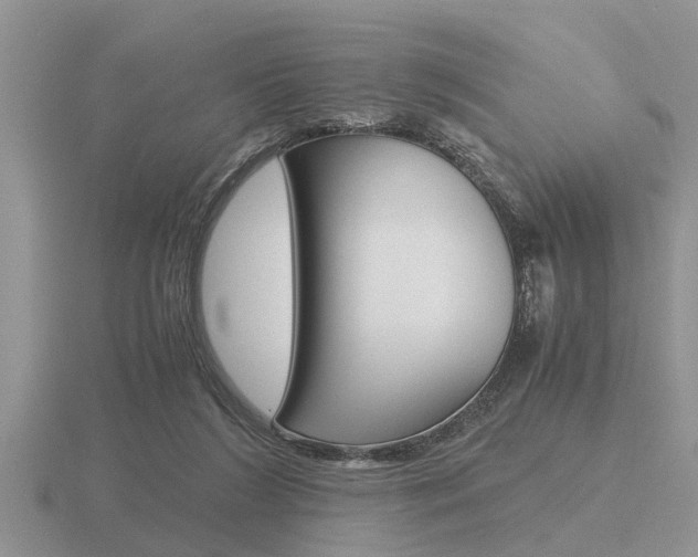 X0000116640212200912140952