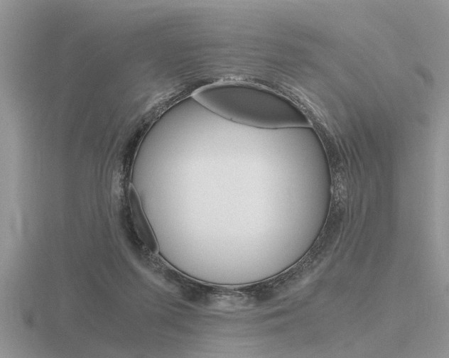 X0000116640215200912140952