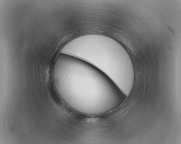 X0000116640216200912140952