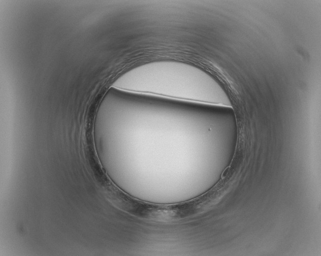 X0000116640217200912140952