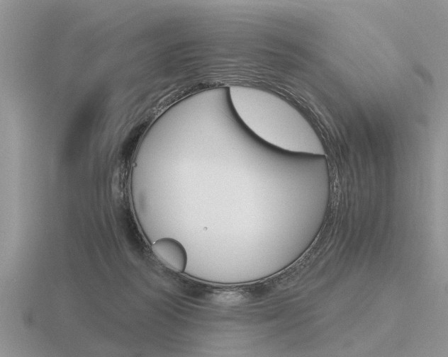 X0000116640218200912140952