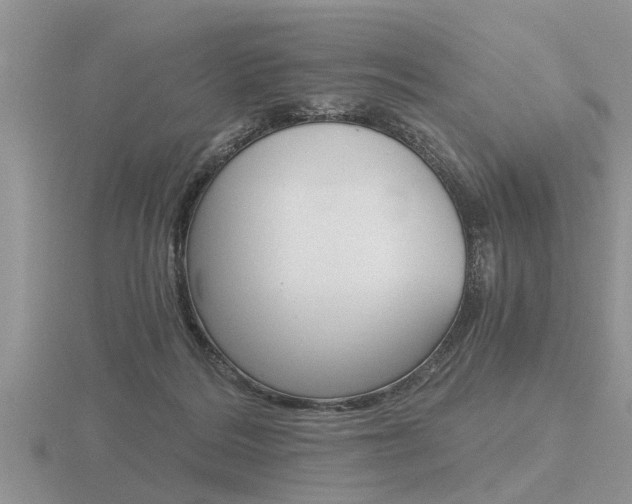 X0000116640220200912140952