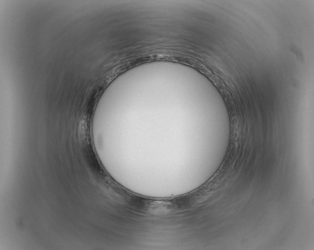 X0000116640222200912140951