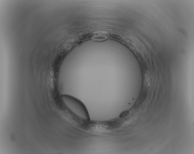 X0000116640223200912140951