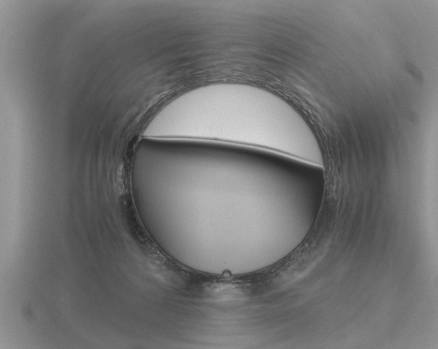 X0000116640224200912140951