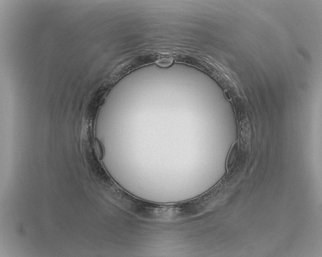 X0000116640225200912140951