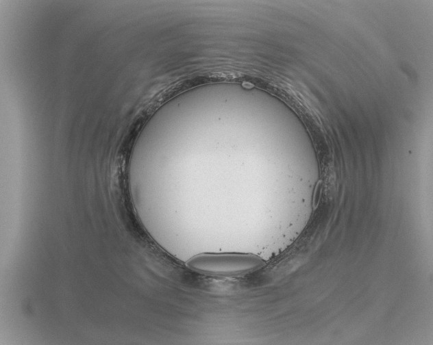 X0000116640229200912140951