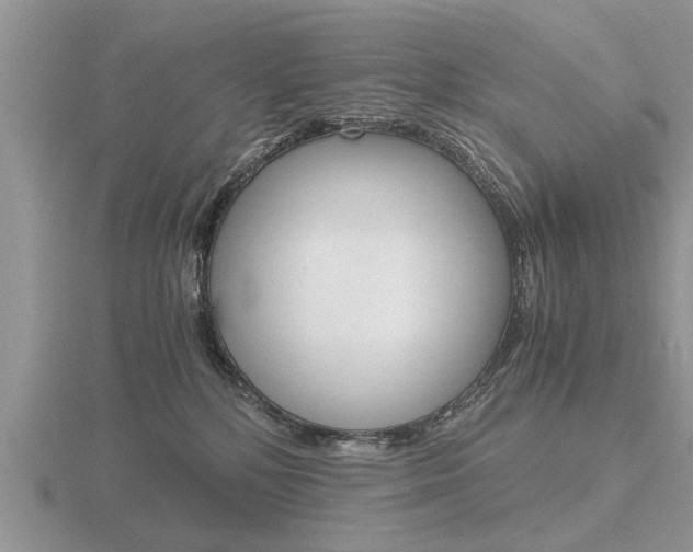 X0000116640232200912140951