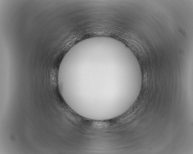 X0000116640234200912140951