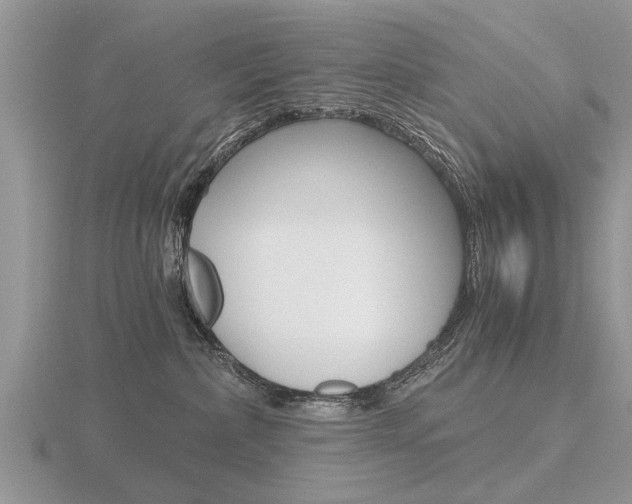 X0000116640236200912140951