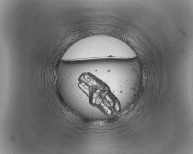 X0000116640237200912140951