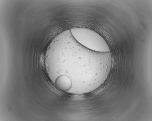 X0000116640238200912140951