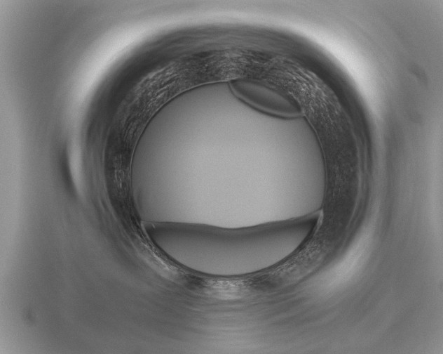 X0000116640239200912140951