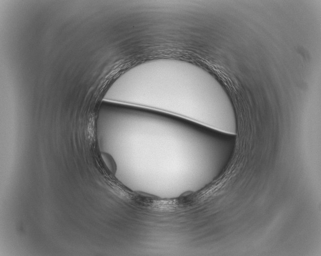 X0000116640240200912140951