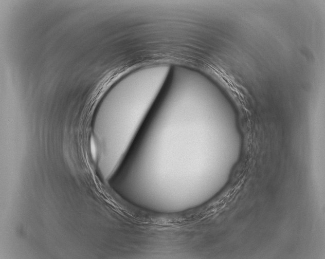 X0000116640241200912140951