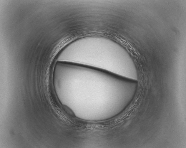 X0000116640242200912140951