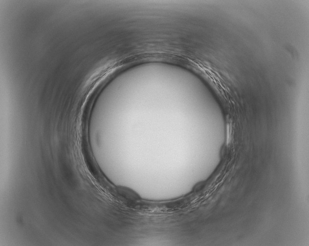 X0000116640243200912140951