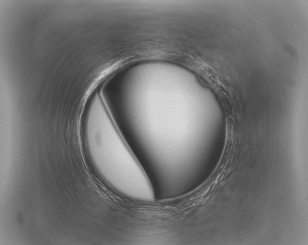 X0000116640244200912140951