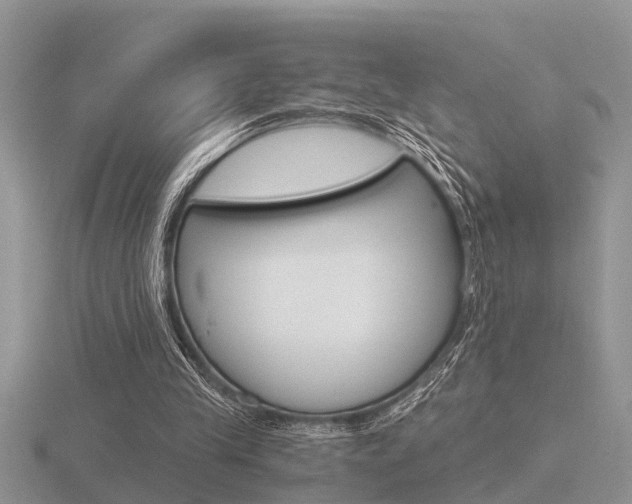 X0000116640245200912140951