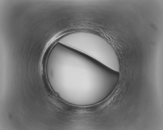 X0000116640246200912140951