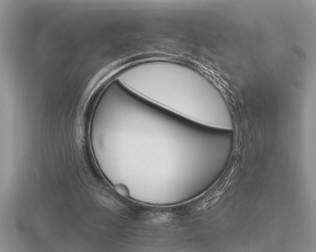 X0000116640247200912140951