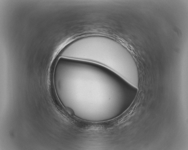 X0000116640248200912140951