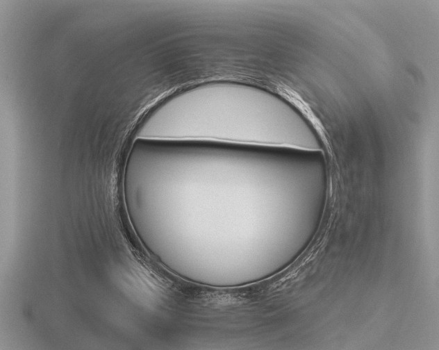 X0000116640249200912140951