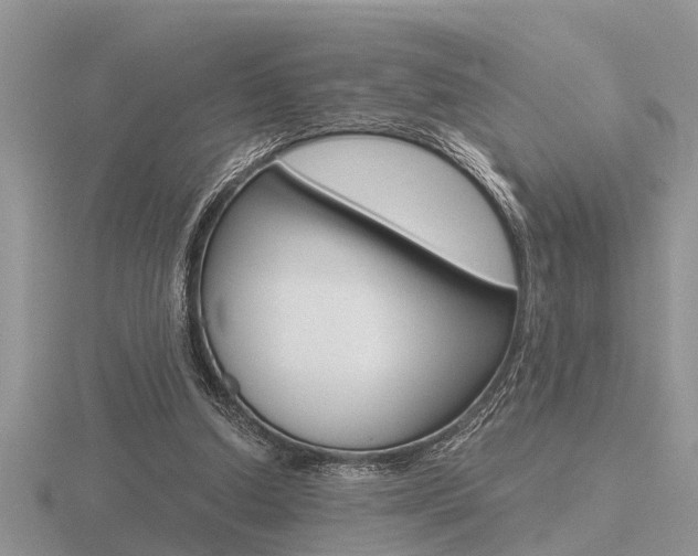 X0000116640250200912140951