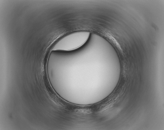 X0000116640251200912140951