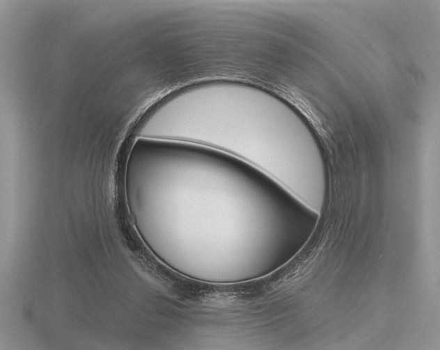 X0000116640252200912140951