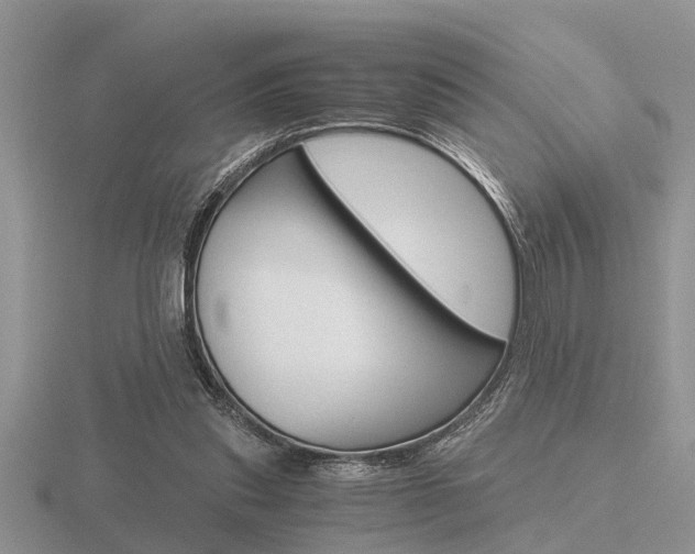 X0000116640253200912140951