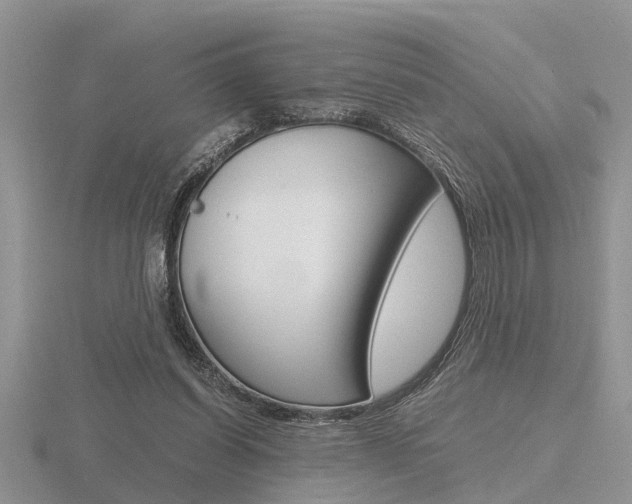 X0000116640254200912140951