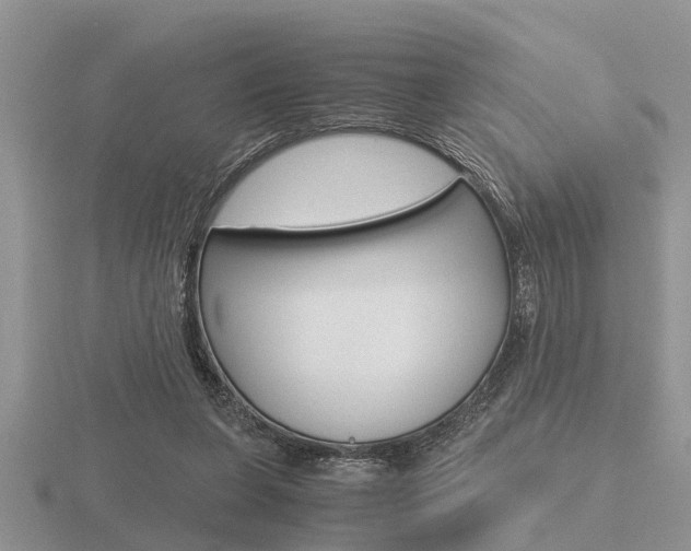 X0000116640255200912140951