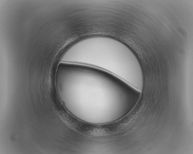 X0000116640256200912140951