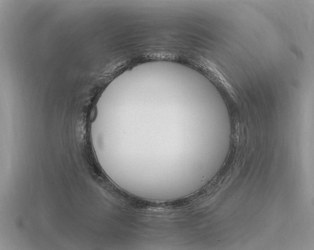 X0000116640259200912140951