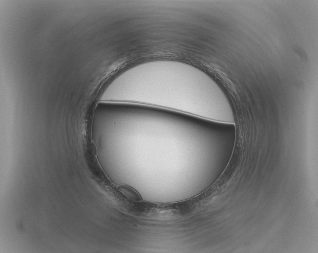 X0000116640260200912140951