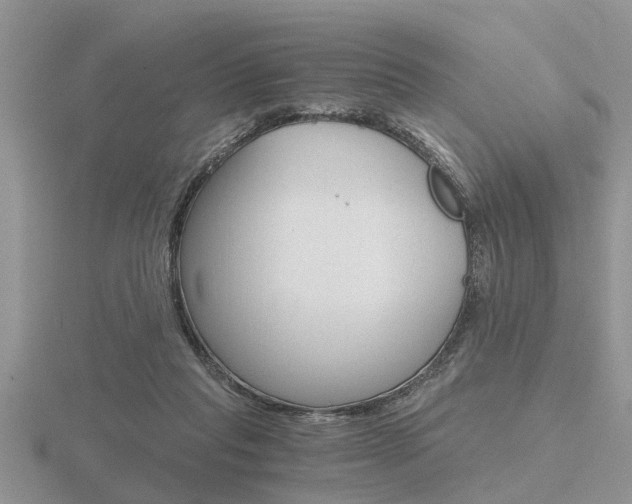 X0000116640261200912140951