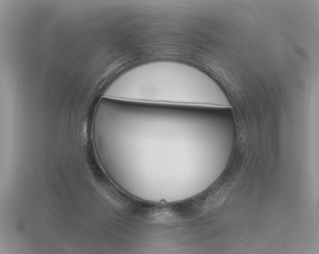 X0000116640262200912140951