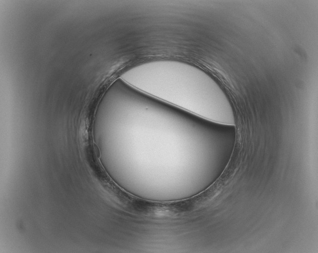 X0000116640264200912140951