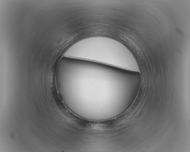 X0000116640268200912140951